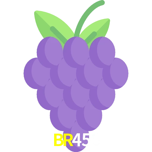 BR456